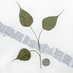 CRAFT WITH NATURAL LEAFS