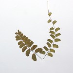 CRAFT WITH NATURAL LEAFS
