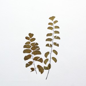 CRAFT WITH NATURAL LEAFS