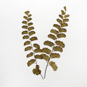 CRAFT WITH NATURAL LEAFS