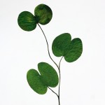 CRAFT WITH NATURAL LEAFS