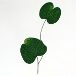 CRAFT WITH NATURAL LEAFS