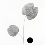 CRAFT WITH NATURAL LEAFS