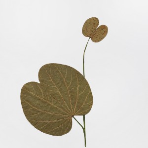 CRAFT WITH NATURAL LEAFS