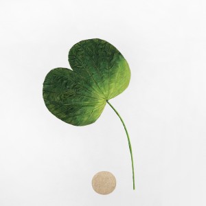 CRAFT WITH NATURAL LEAFS