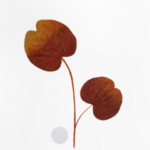 CRAFT WITH NATURAL LEAFS
