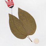 CRAFT WITH NATURAL LEAFS
