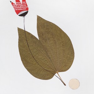 CRAFT WITH NATURAL LEAFS