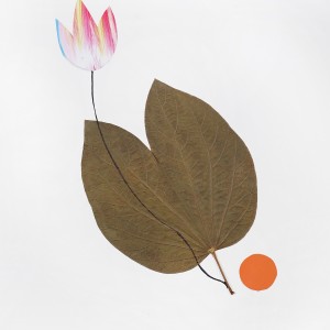 CRAFT WITH NATURAL LEAFS