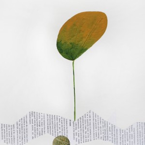 CRAFT WITH NATURAL LEAFS