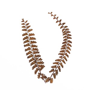 CRAFT WITH NATURAL LEAFS
