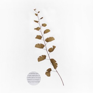 CRAFT WITH NATURAL LEAFS