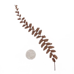 CRAFT WITH NATURAL LEAFS