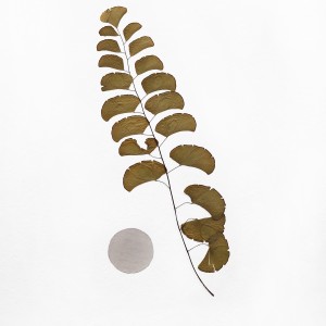 CRAFT WITH NATURAL LEAFS