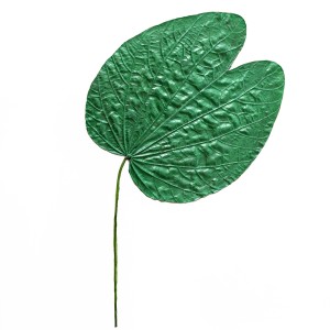 CRAFT WITH NATURAL LEAFS
