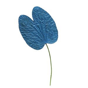 CRAFT WITH NATURAL LEAFS