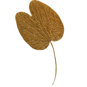 CRAFT WITH NATURAL LEAFS
