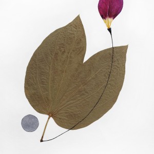 CRAFT WITH NATURAL LEAFS