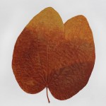 CRAFT WITH NATURAL LEAFS