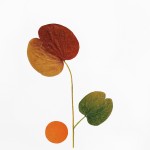 CRAFT WITH NATURAL LEAFS