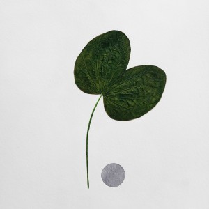 CRAFT WITH NATURAL LEAFS