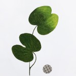 CRAFT WITH NATURAL LEAFS
