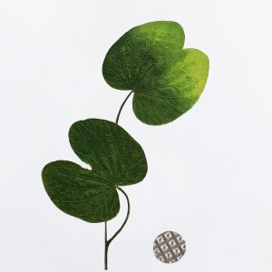 CRAFT WITH NATURAL LEAFS