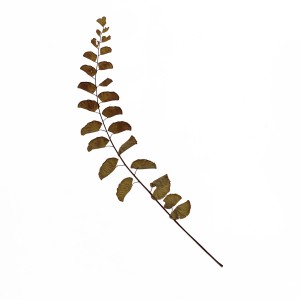 CRAFT WITH NATURAL LEAFS