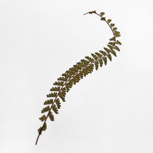 CRAFT WITH NATURAL LEAFS