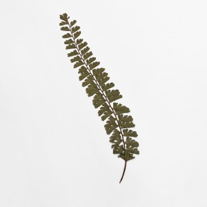 CRAFT WITH NATURAL LEAFS