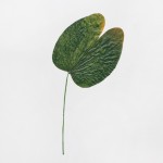 CRAFT WITH NATURAL LEAFS