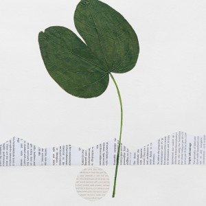 CRAFT WITH NATURAL LEAFS