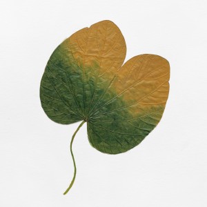CRAFT WITH NATURAL LEAFS