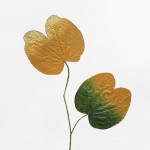 CRAFT WITH NATURAL LEAFS