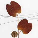 CRAFT WITH NATURAL LEAFS