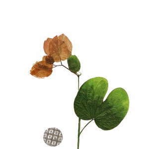 CRAFT WITH NATURAL LEAFS