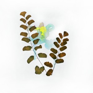 CRAFT WITH NATURAL LEAFS