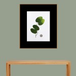 CRAFT WITH NATURAL LEAFS