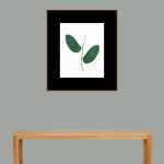 CRAFT WITH NATURAL LEAFS