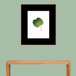 CRAFT WITH NATURAL LEAFS