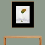 CRAFT WITH NATURAL LEAFS