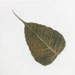 CRAFT WITH NATURAL LEAFS