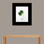 CRAFT WITH NATURAL LEAFS