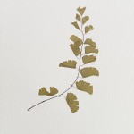 CRAFT WITH NATURAL LEAFS