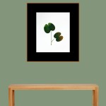 CRAFT WITH NATURAL LEAFS