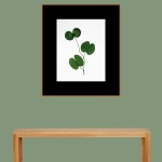 CRAFT WITH NATURAL LEAFS