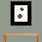 CRAFT WITH NATURAL LEAFS