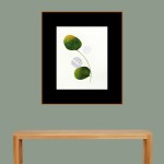 CRAFT WITH NATURAL LEAFS