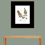 CRAFT WITH NATURAL LEAFS