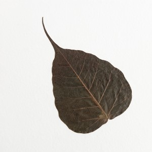 CRAFT WITH NATURAL LEAFS